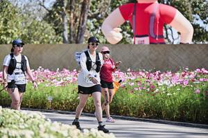 BIB: 
                            <button type="button" onclick="openModal(27803393)" class="btn btn-primary btn-sm float-right btn-popup" data-toggle="modal" data-target=".modal-high-quality">
                        <i class="fas fa-shopping-cart"></i> Add to Cart
                    </button>
                                            <button type="button" onclick="isThisMe(27803393, true)" class="btn btn-success btn-sm float-right btn-popup btn-isme hidden" data-toggle="tooltip" data-placement="bottom" title="นี่คือรูปของคุณใช่ไหม คลิกที่นี่เพื่อเอาเข้าอัลบั้ม">
                        <i class="fas fa-plus"></i> Add to album
                    </button>
                    <button type="button" onclick="isThisMe(27803393, false)" class="btn btn-warning btn-sm float-right btn-popup btn-isnotme hidden">
                        <i class="fas fa-ban"></i> Remove from album
                    </button>